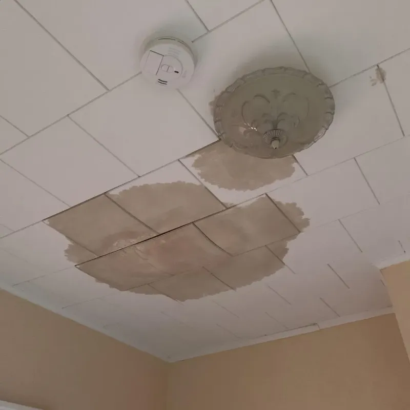 Ceiling Water Damage Repair in Kingfisher County, OK