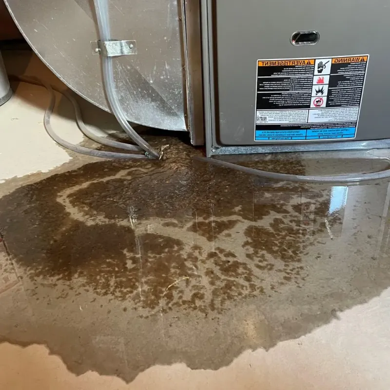 Pipe Burst and Leak Restoration in Kingfisher County, OK